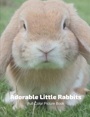 [e5852] #Download~ Adorable Little Rabbits Full-Color Picture Book: Bunnies Picture Book for Children, Seniors and Alzheimer's Patients - Fabulous Book Press #ePub~